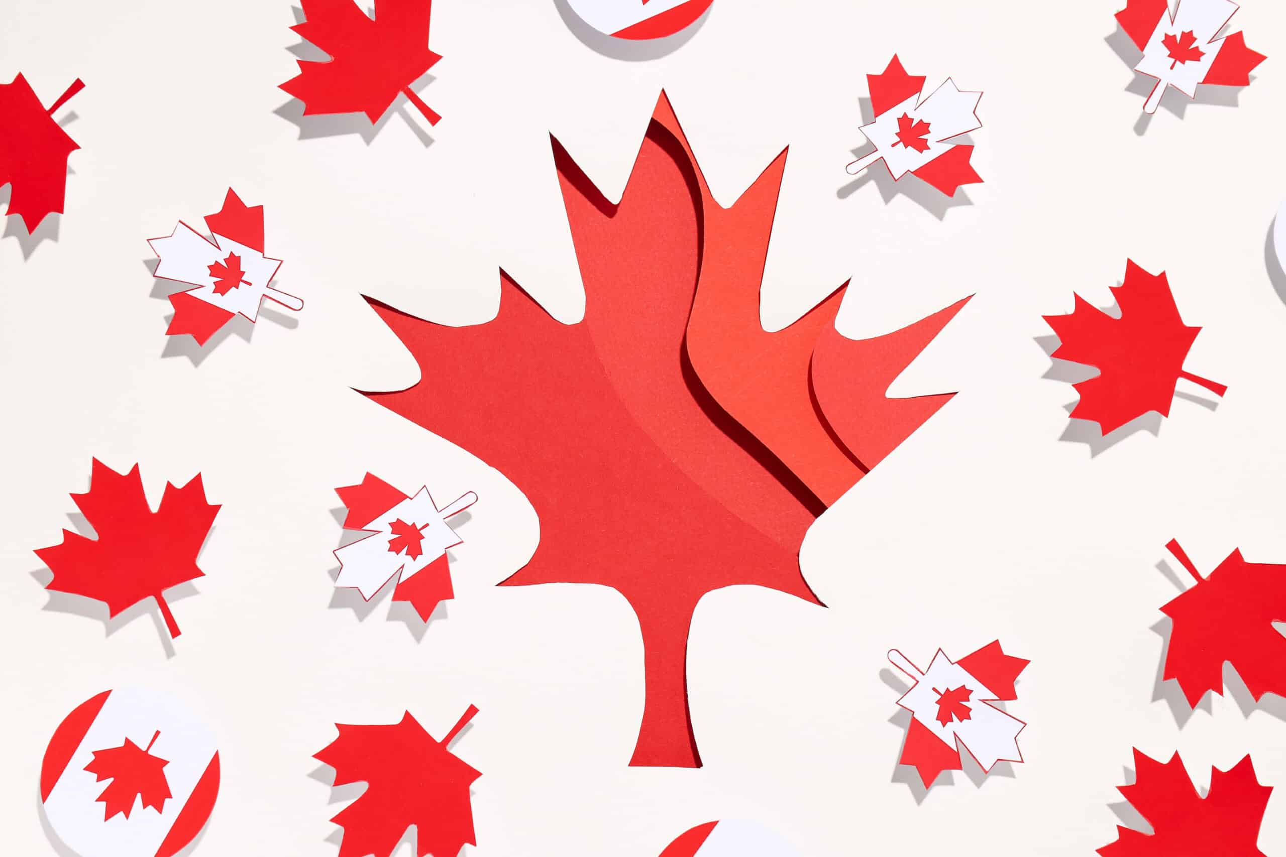 decorative-maple-leaves-on-a-light-background-2025-03-26-02-56-56-utc (1)